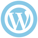 Custom WordPress Development