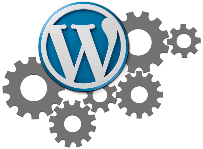 WordPress Development & Support